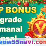 wow55 - Chat ao Vivo: ajuda rápida e sem enrolação 😎 Article Image 1