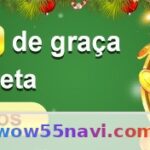 wow55 - Ajuda: Suporte Completo para Usuários Article Image 1