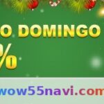 wow55 Apostas - Plataforma Completa de Apostas Online Article Image 1